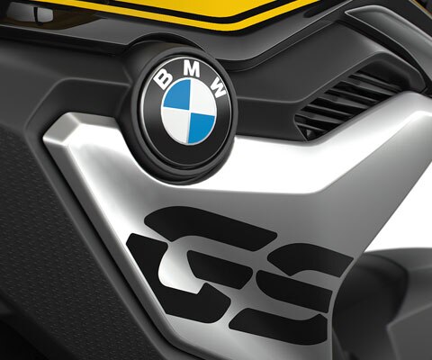 We see the radiator cover with GS logo in detail.